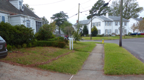 A line of debris shows where water levels were on the lawn of a home