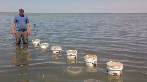 Matt Kirwan stands in knee-high water near a row of buckets