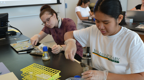 Students spoon soil samples taken around campus 