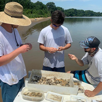 Three people sort through a seine haul catch on a beach