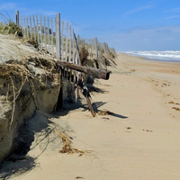 A sand dune on a beach