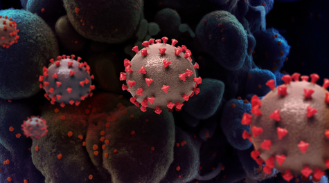 A creative rendition shows particles of SARS-CoV-2