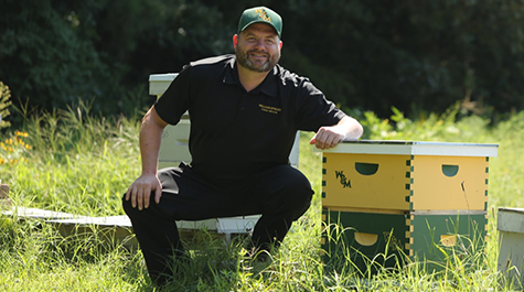 bees475.jpg