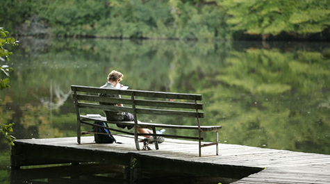 greenspace475.jpg