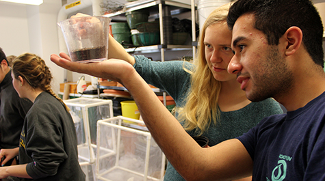 Students mix soil in the William & 玛丽 greenhouse