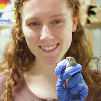 student holding a zebra finch