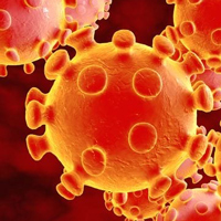 Photo illustration of the novel coronavirus