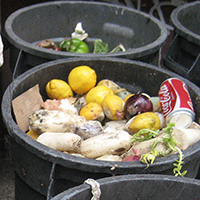 Barrels with trash