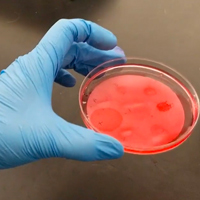 Jenny Rahn videotapes her gloved hands as they do an experiment with a shoulder-mounted camera