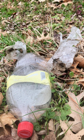 Most plastic trash begins its life on land. (Photo by D. Malmquist/VIMS)