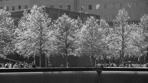 9/11 Memorial: 