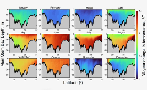 bay_warming_extent_475.jpeg