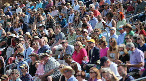 People sit in stadium stands