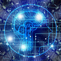 A graphic shows the outline of a brain and head with a grid of lines on top of it