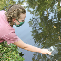 A student with a net reaching into water