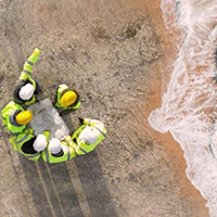 People in hard hats stand on a beach