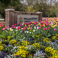 A brick sign saying William & 玛丽 surrounded by tulips