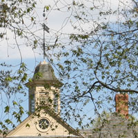 Branches in front of the Wren Building cupola