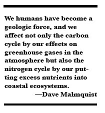 Malmquist Blurb Malmquist Blurb