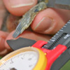 10.30.07research_thumb.jpg