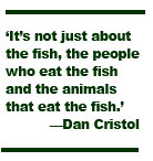 Cristol blurb