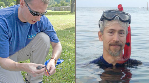 Environmental authors