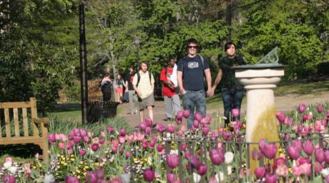W&M students