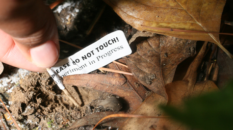 Small, but important, marker