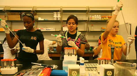Lab work
