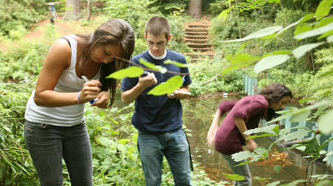 Researchers in the Dell