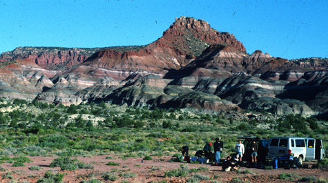 Geology 310