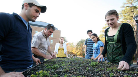 Green Roof