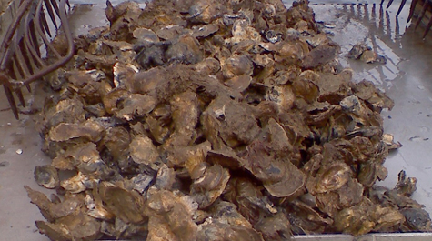 High-Relief Reef