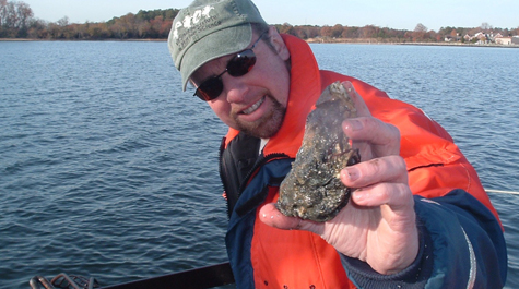 Large oyster