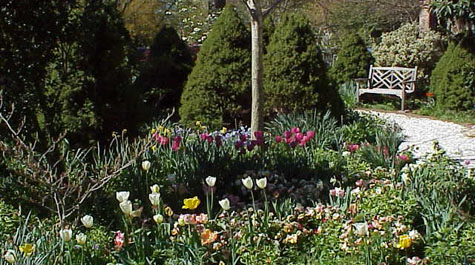 Early Spring
