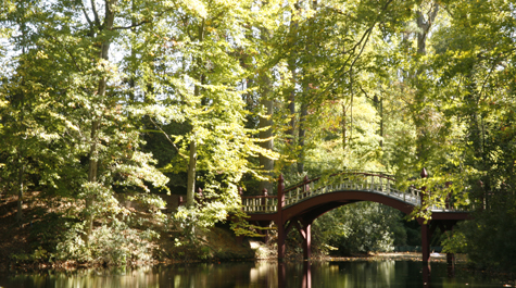 Sustainability at Crim Dell