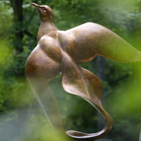 dove200