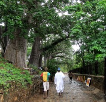 Scenery in Senegal