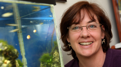 Cattell Fellow