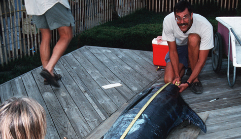 Marine forensics