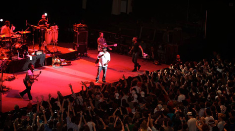 The Roots