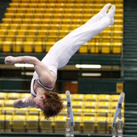 iconicgymnasticssqthumb.jpg