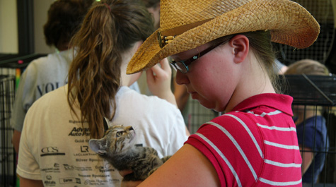 The human-animal bond
