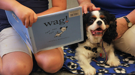 A tail-wagging tale