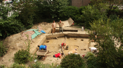 The back yard