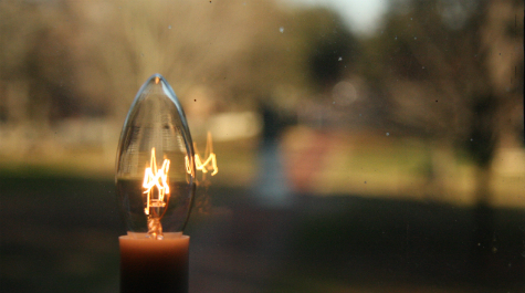 Wren Candle