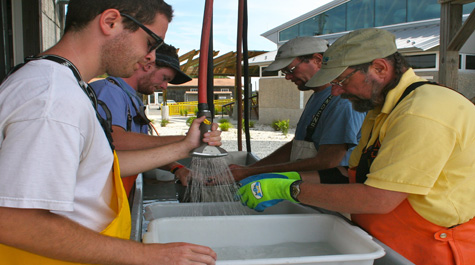 Processing samples