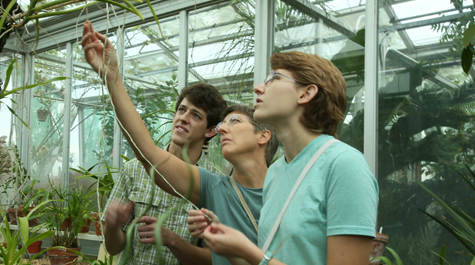 Greenhouse Investigation