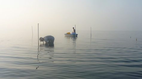 ZEN Fieldwork: 