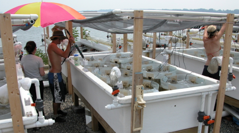 Ecosystem Production: 